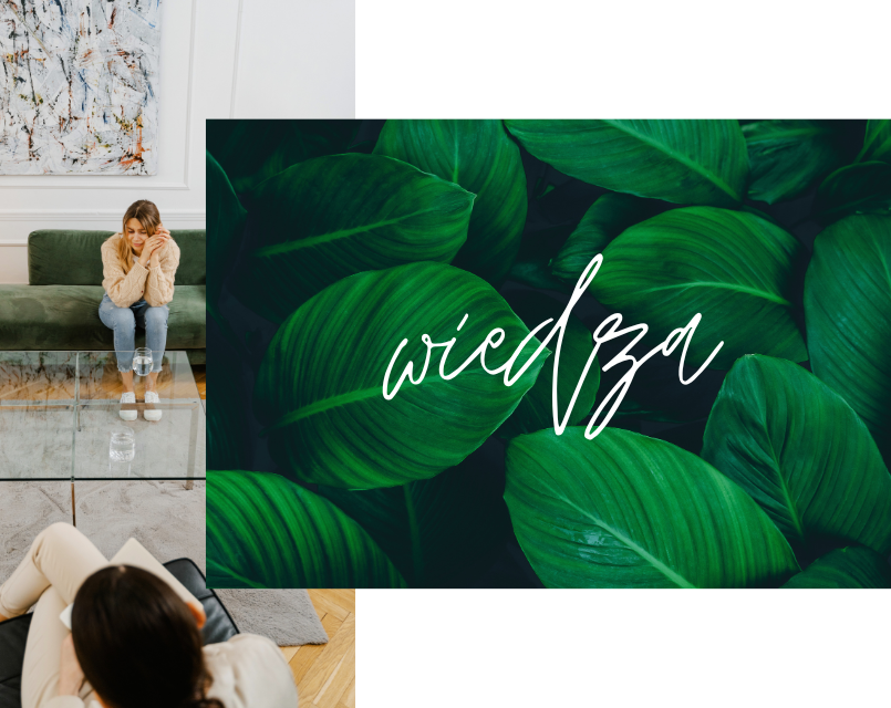 Psychoterapia częstochowa